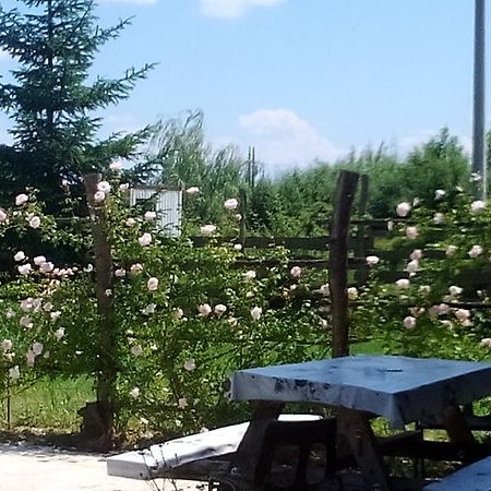 Rooms Ma La Karlovac Exterior foto